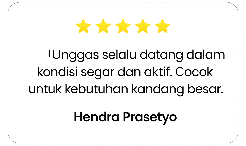 ChatGPT Image Nov 13, 2025, 09_39_04 AM