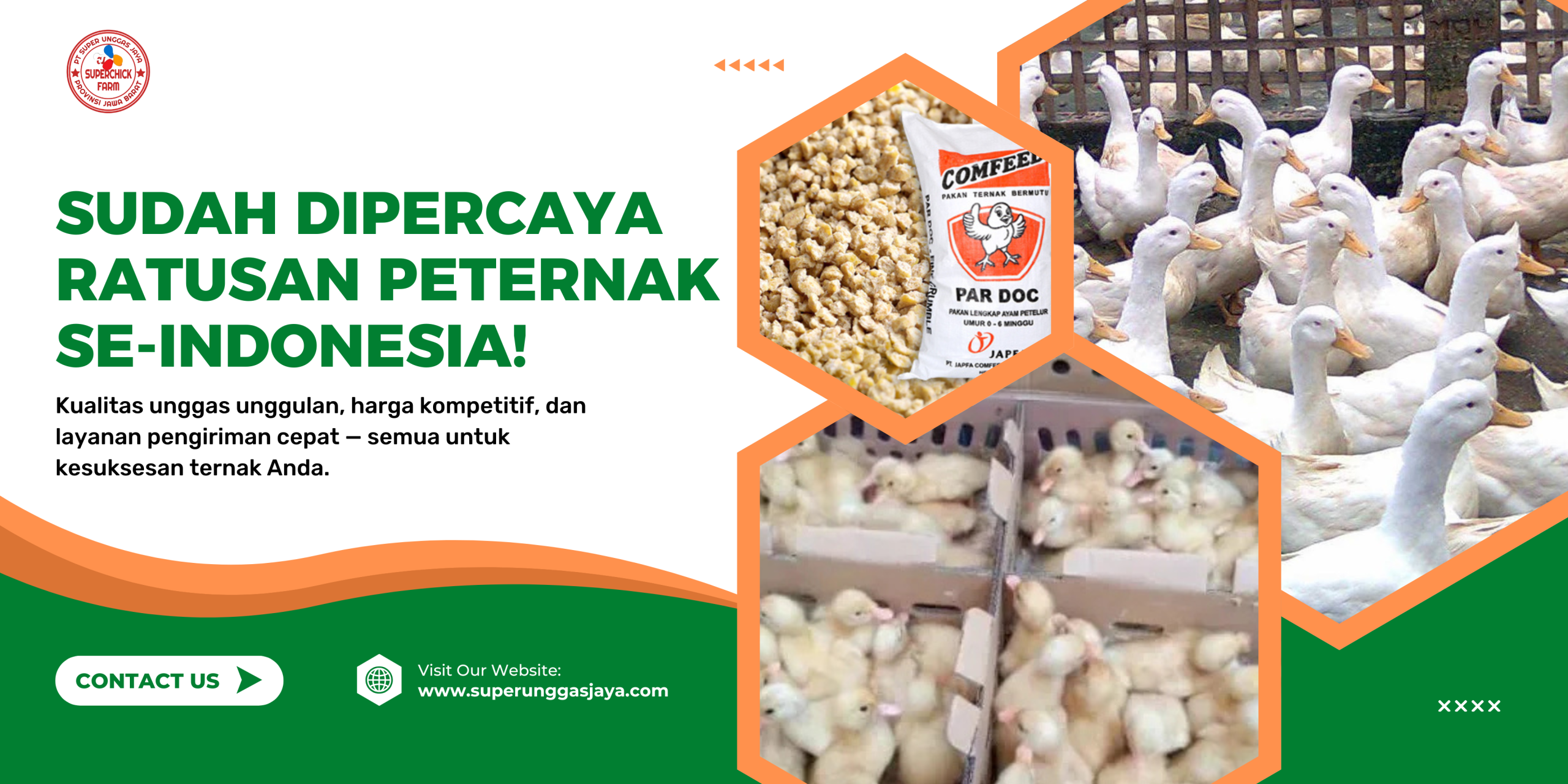 Green Orange Modern Hydroponic Agriculture Banner (1)