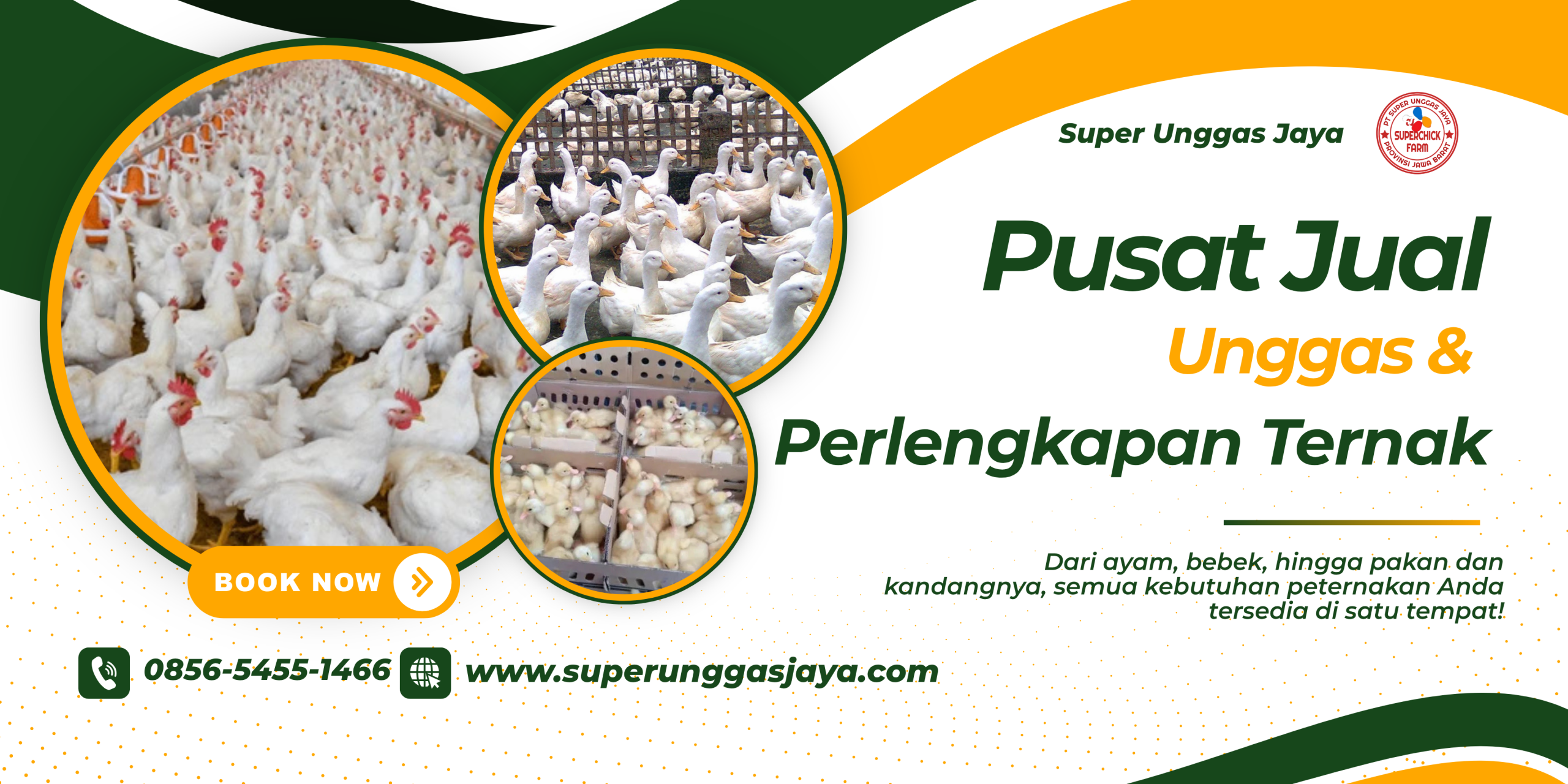 Green and Yellow Modern Agriculture Consultant Services Banner (1)